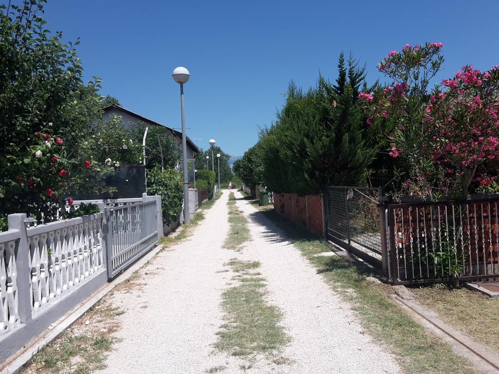 Apartman Nin-Dodo Exteriér fotografie